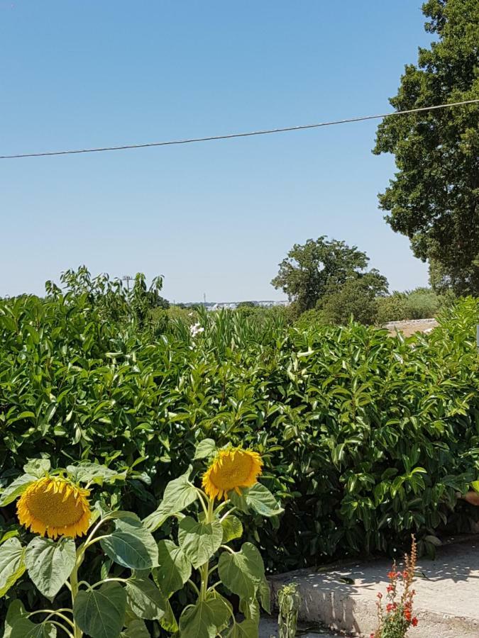 Trulli Della Masseria Staffone Alberobello Eksteriør bilde